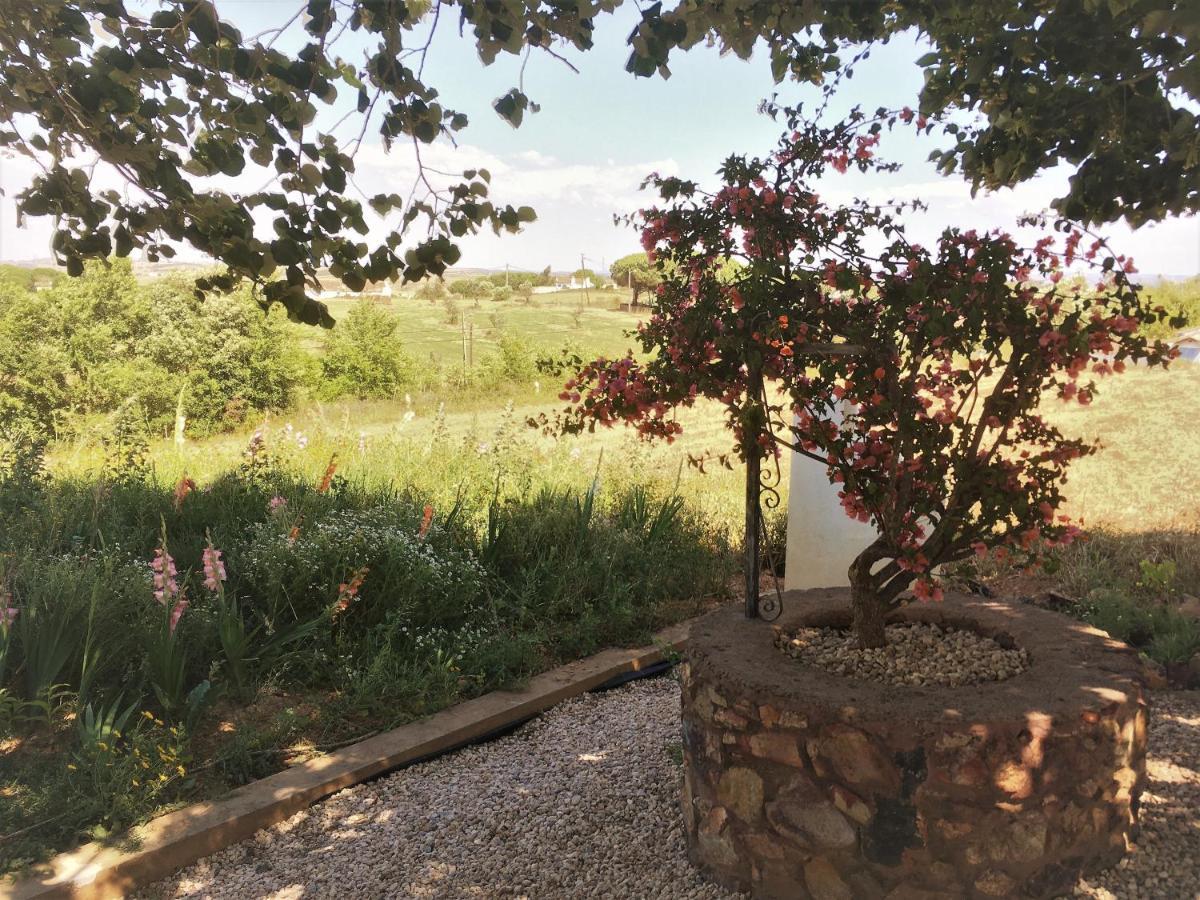 Portela Guesthouse Cercal do Alentejo Exteriör bild