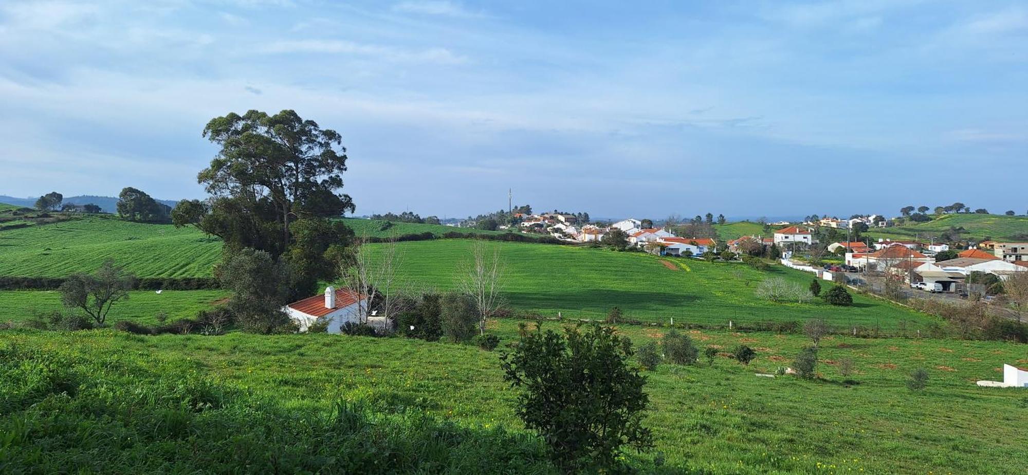 Portela Guesthouse Cercal do Alentejo Exteriör bild